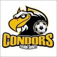 CONDORS